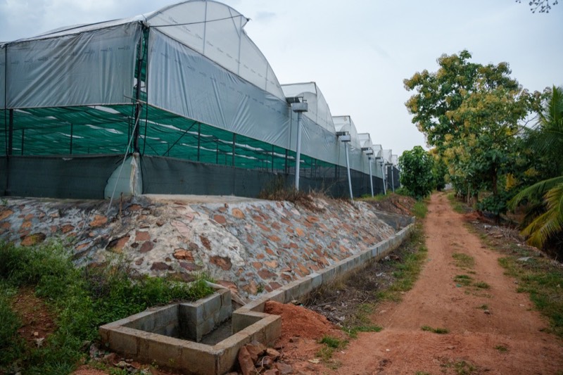 Rainwater Harvesting System